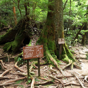 辻峠