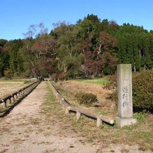 温泉神社の参道