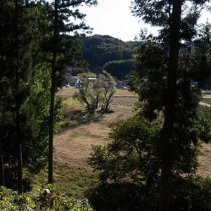 神社の裏にある鏡山へ